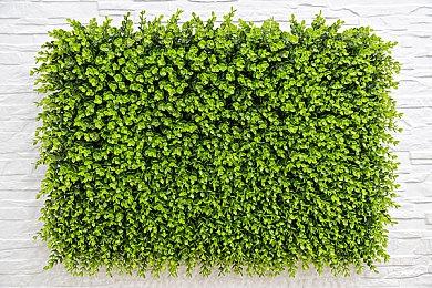 双人合作新作《星际迷航神童：超新星》10月发售